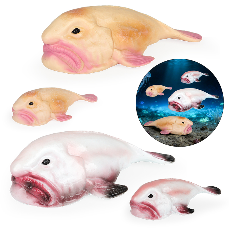 Oenux Australia Deep-Sea Fish  - Kids Education In Australia ulasan dan harga