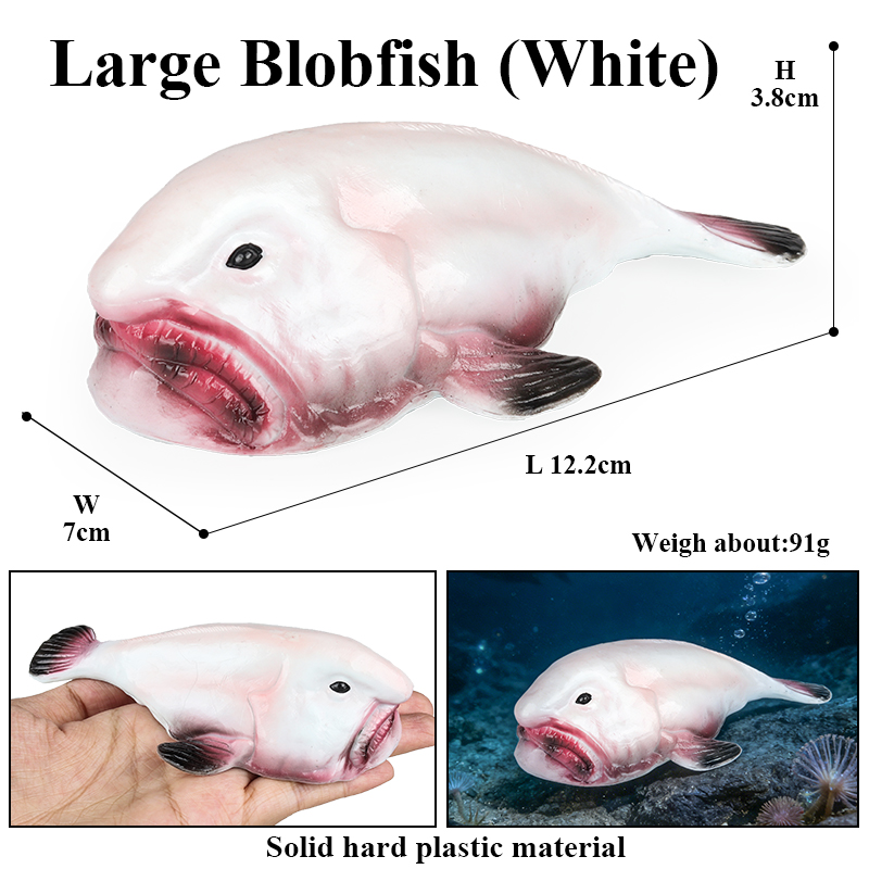Oenux Australia Deep-Sea Fish  - Kids Education In Australia ulasan dan harga