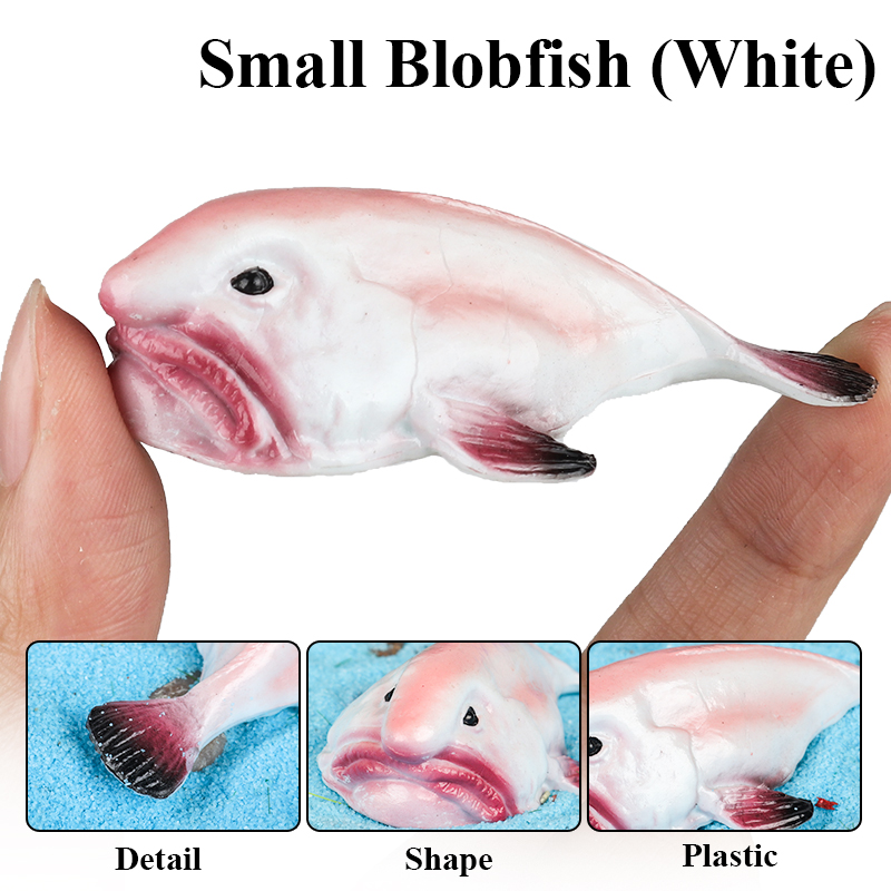 Oenux Australia Deep-Sea Fish  - Kids Education In Australia ulasan dan harga