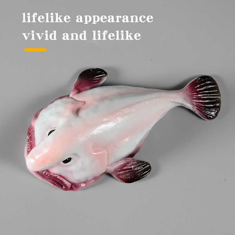 Australia Deep-Sea Blobfish Ps - Kids Education In Australia ulasan dan harga