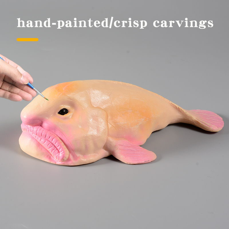 Australia Deep-Sea Blobfish Ps - Kids Education In Australia ulasan dan harga